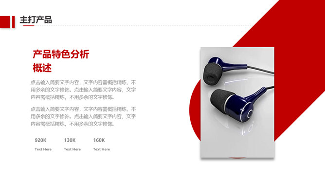 企业宣传公司介绍PPT模板_展示图13