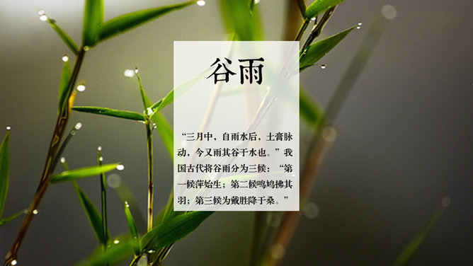 好看配图二十四节气PPT模板_第5页PPT效果图