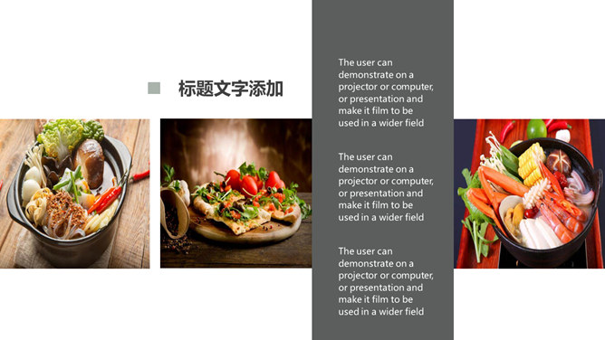 杂志风画册美食介绍PPT模板_第14页PPT效果图