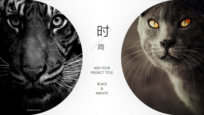 极简创意不规则形状线条PPT模板_第8页PPT效果图