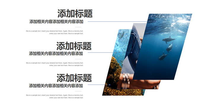 简洁时尚工作总结计划PPT模板_第5页PPT效果图