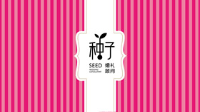 婚礼婚庆公司宣传介绍PPT模板