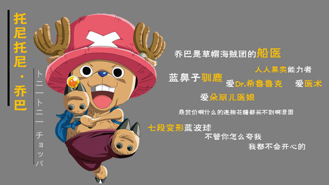 海贼王主要人物介绍PPT_第6页PPT效果图