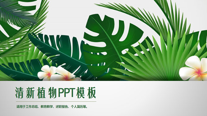 清新养眼绿色植物PPT模板_第0页PPT效果图