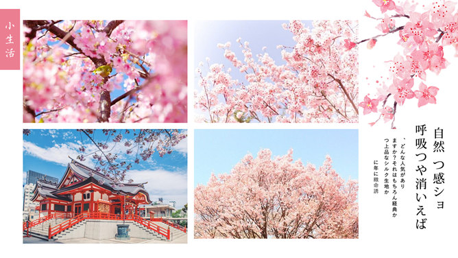 粉色樱花日本和风PPT模板_第15页PPT效果图