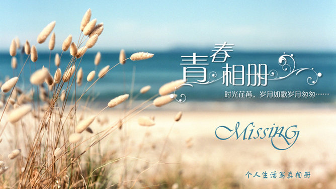 个人照片电子相册PPT模板_第0页PPT效果图