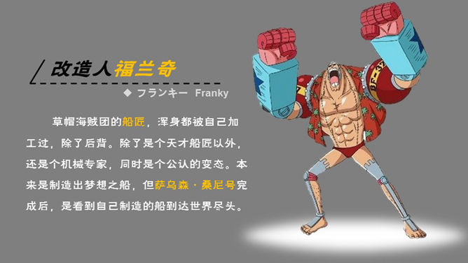 海贼王主要人物介绍PPT_第8页PPT效果图