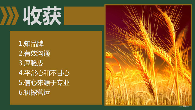 精美动态实习总结PPT模板_第11页PPT效果图