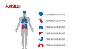 医学医疗图表图标PPT素材包