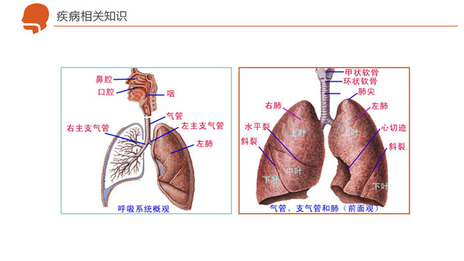 呼吸衰竭护理治疗病例PPT模板_第7页PPT效果图