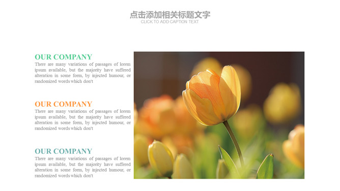 简约唯美淡雅小清新PPT模板_第7页PPT效果图