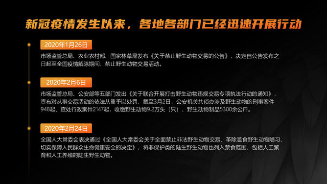 野生动物保护教育PPT模板_第13页PPT效果图