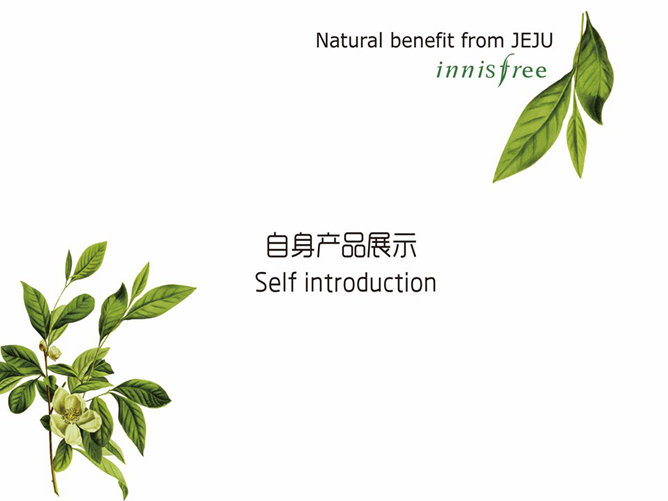 化妆品营销案例幻灯片模板_第5页PPT效果图