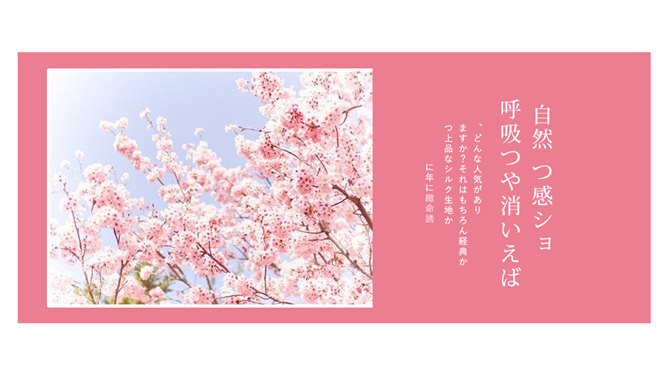 粉色樱花日本和风PPT模板_第4页PPT效果图