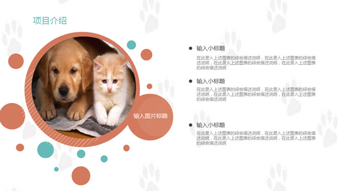 宠物狗狗可爱萌宠PPT模板_第6页PPT效果图