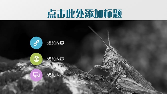 沉稳灰色背景商务PPT模板_第3页PPT效果图