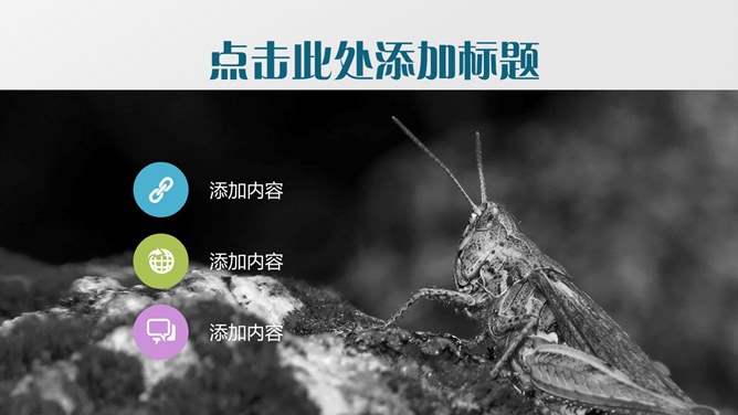 沉稳灰色背景商务PPT模板_第3页PPT效果图