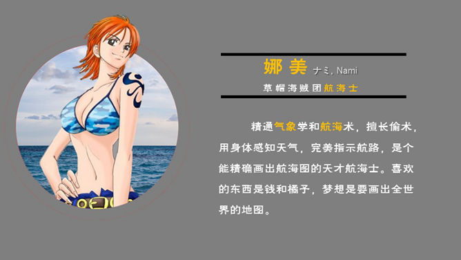 海贼王主要人物介绍PPT_第3页PPT效果图