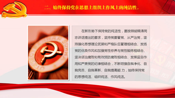 保持党的纯洁性PPT范文_第6页PPT效果图