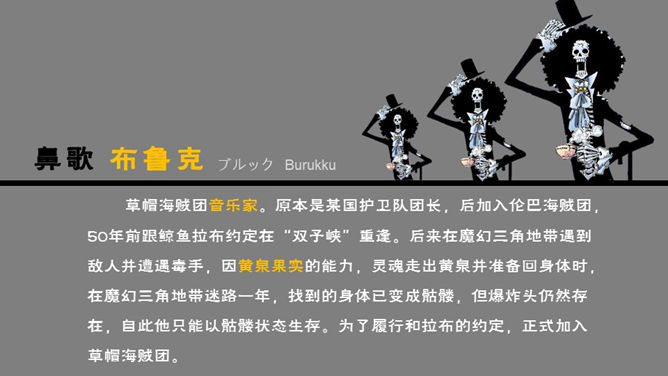 海贼王主要人物介绍PPT_第9页PPT效果图
