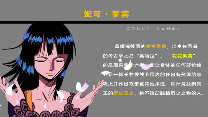 海贼王主要人物介绍PPT_第7页PPT效果图