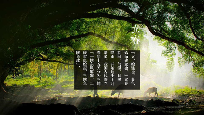 好看配图二十四节气PPT模板_第1页PPT效果图
