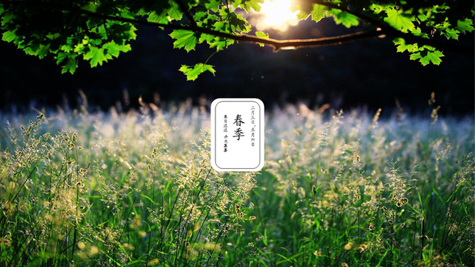好看配图二十四节气PPT模板_第0页PPT效果图