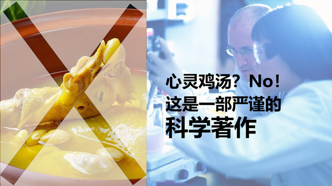 《二十岁光阴不再来》读书笔记PPT_第2页PPT效果图