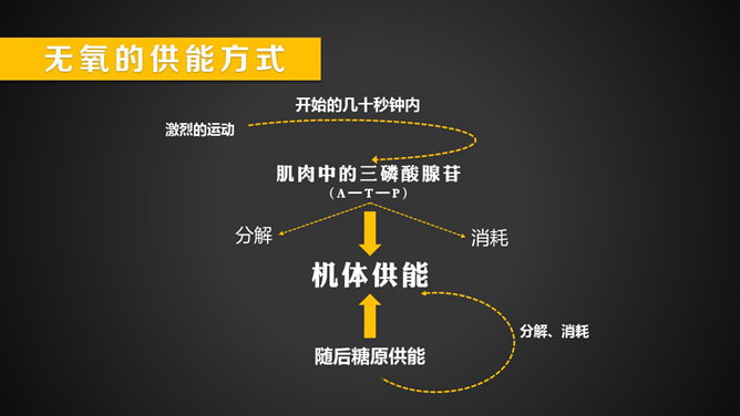 运动减肥瘦身小知识PPT作品_第10页PPT效果图