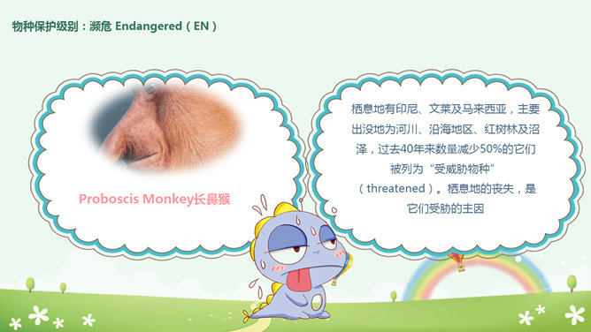 卡通世界动物日介绍PPT模板_第13页PPT效果图