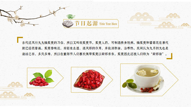 仙鹤荷花中国风重阳节PPT模板_第8页PPT效果图