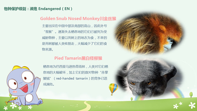 卡通世界动物日介绍PPT模板_第12页PPT效果图