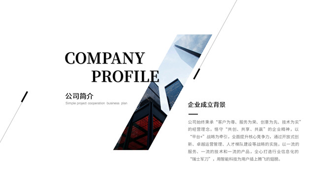 极简黑灰商务汇报PPT模板_第4页PPT效果图