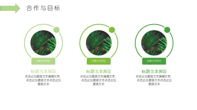 清新绿叶绿色植物PPT模板_第14页PPT效果图