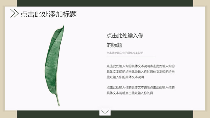 清新淡雅绿色叶子PPT模板_第7页PPT效果图