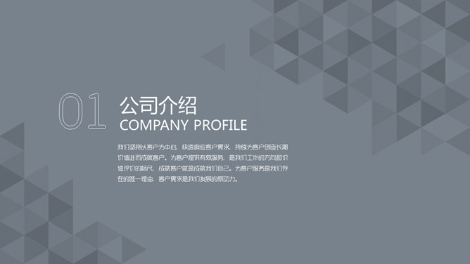精美实用公司介绍PPT模板_第3页PPT效果图