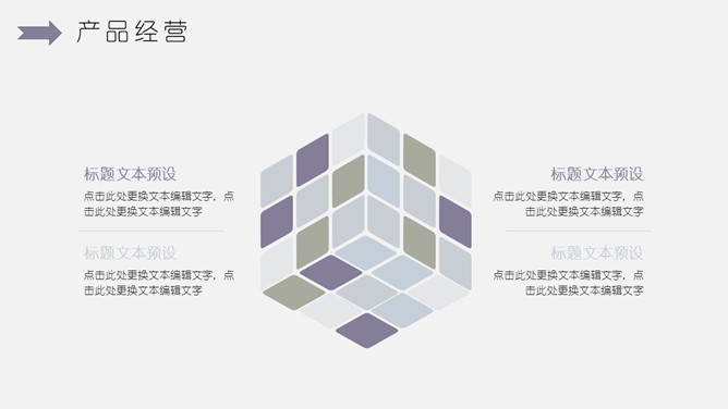 淡雅简约工作报告PPT模板_第13页PPT效果图