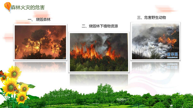 森林防火人人有责PPT模板_第4页PPT效果图