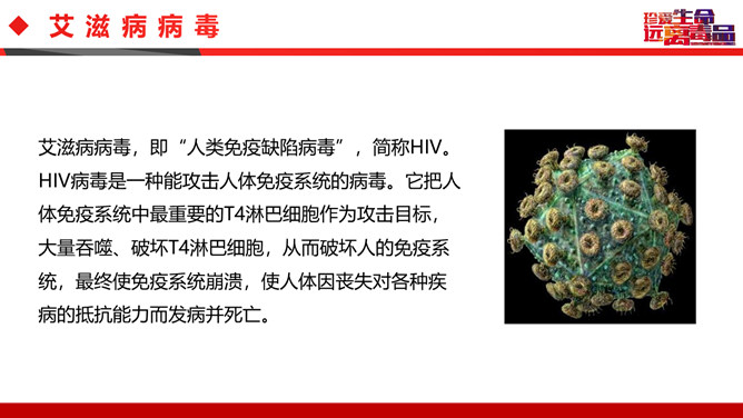 禁毒防艾主题班会PPT模板_第14页PPT效果图