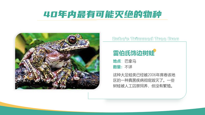 保护野生动物从我做起PPT模板_第9页PPT效果图