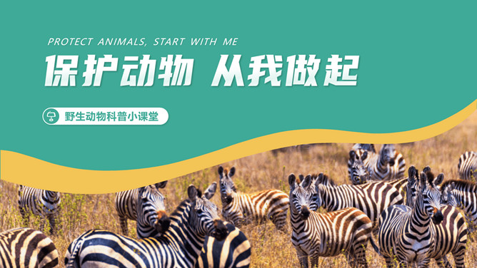 保护野生动物从我做起PPT模板_第0页PPT效果图