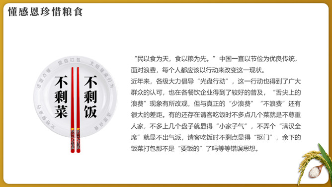 纪念袁隆平珍惜粮食PPT模板_第13页PPT效果图