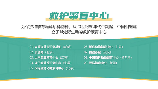 保护野生动物从我做起PPT模板_第13页PPT效果图