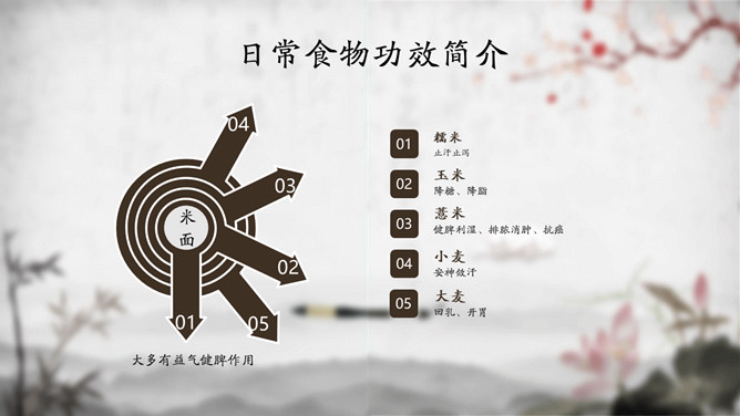 中医中药饮食与养生PPT模板_第8页PPT效果图