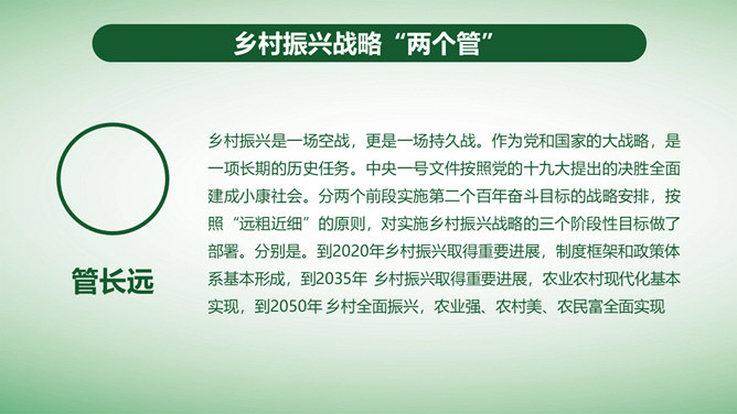 全面部署实施乡村振兴战略PPT模板_第9页PPT效果图
