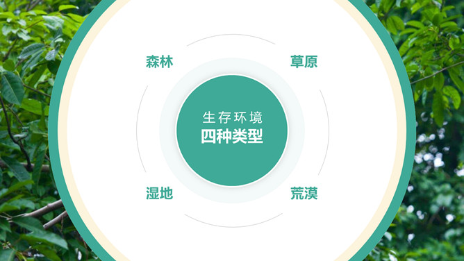 保护野生动物从我做起PPT模板_第5页PPT效果图