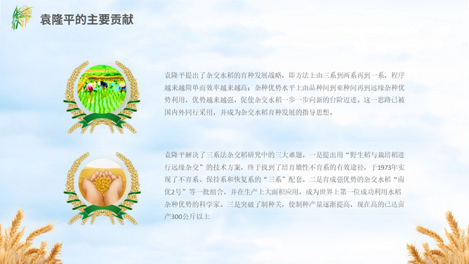 缅怀杂交水稻之父袁隆平PPT模板_第11页PPT效果图