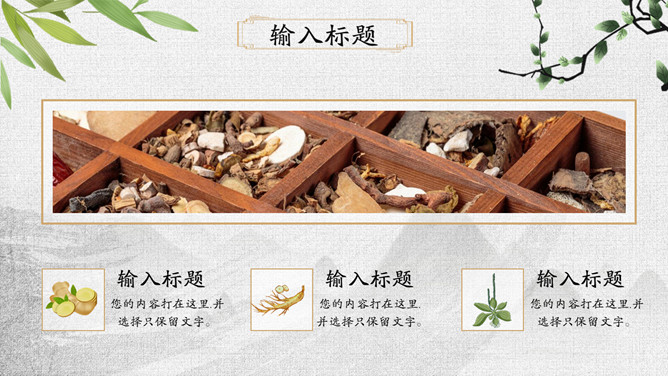 传统文化中医中药养生PPT模板_第15页PPT效果图