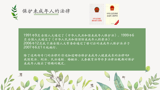 未成年人保护法主题班会PPT模板_第11页PPT效果图