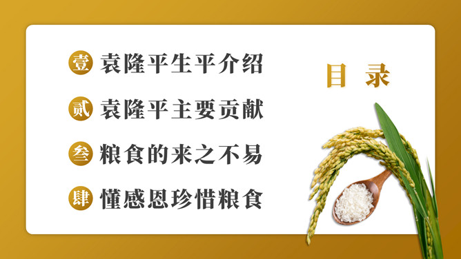 纪念袁隆平珍惜粮食PPT模板_第1页PPT效果图